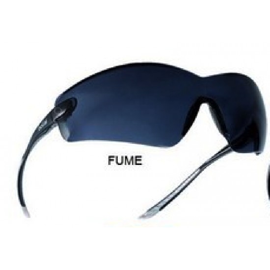Goggles BOLLE COBRA Smoke lens /C300-10