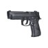 Type 226 CO2 GBB – crni – HFC